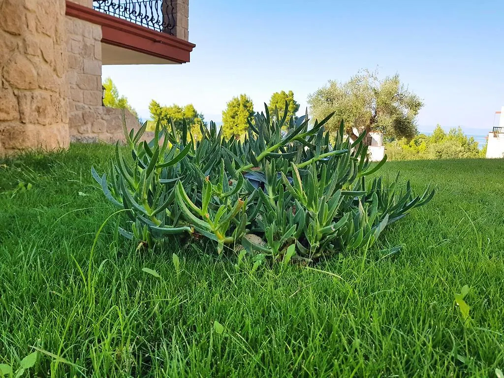 Villa Nature Kriopigi 0*,